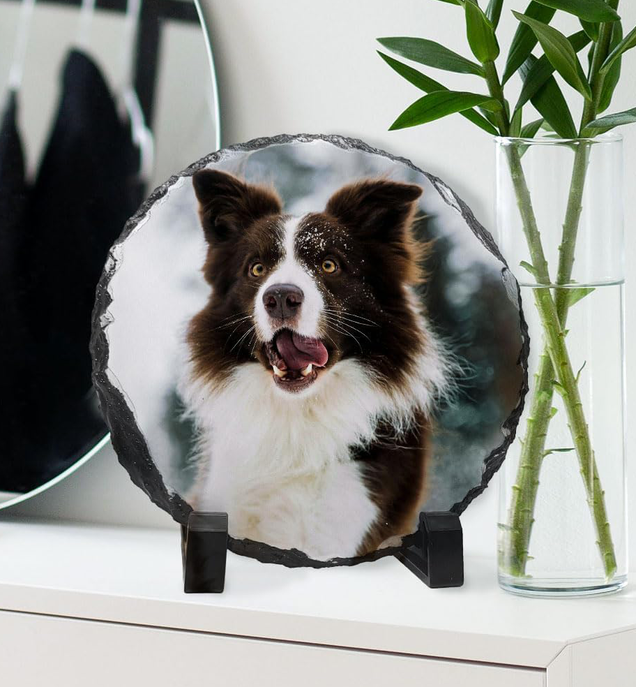 6" Round Full Color Gloss Slate with Stand