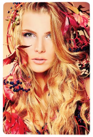 Metal Full Color Photo Panels With Mounting Hardware